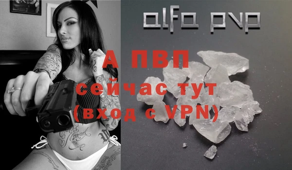 молекула духа Новодвинск