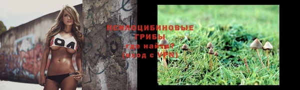 молекула духа Новодвинск