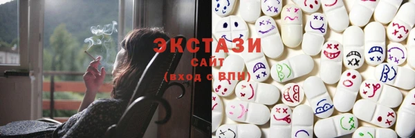 дживик Няндома