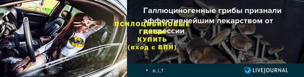 скорость Новозыбков