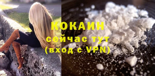 дживик Няндома