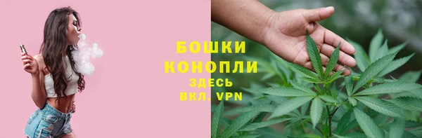 молекула духа Новодвинск