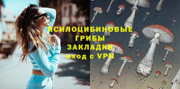 прущие грибы Бутурлиновка