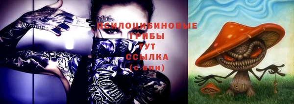 скорость Новозыбков