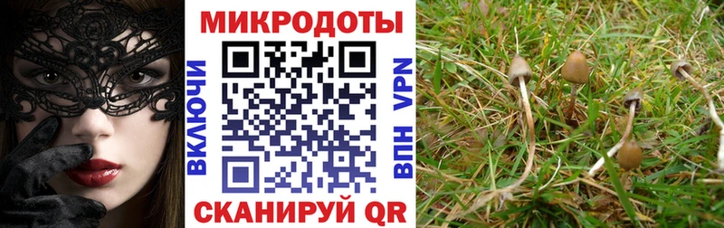 Псилоцибиновые грибы Cubensis  hydra маркетплейс  Нижняя Салда  магазин   